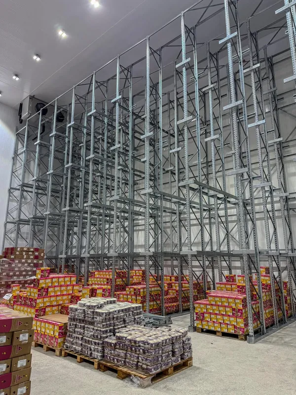Interior da câmara fria pronta, com porta-paletes metálicos e paletes de produtos